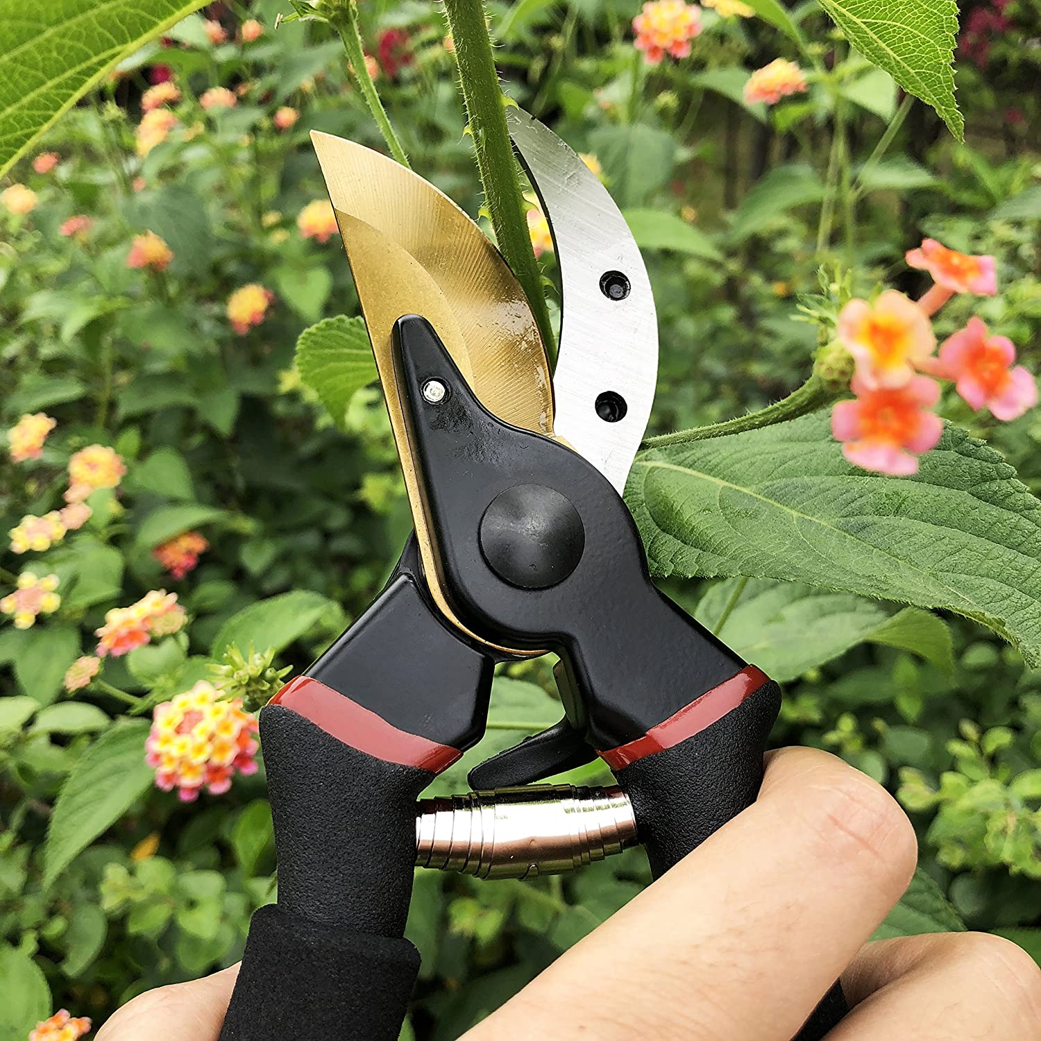 Gonicc 8" Professional Premium Titanium Bypass Pruning Shears Garden & Patio - DailySale