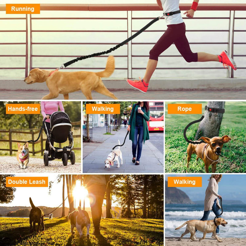 Hands Free Dogs Leash Waist Belt Pet Supplies - DailySale
