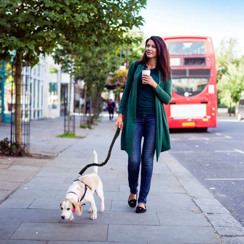 Hands Free Dogs Leash Waist Belt Pet Supplies - DailySale