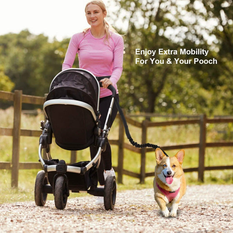 Hands Free Dogs Leash Waist Belt Pet Supplies - DailySale