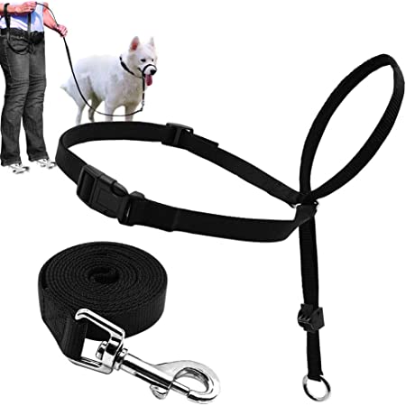 Headcollar Adjustable Dog Harness Pet Supplies - DailySale