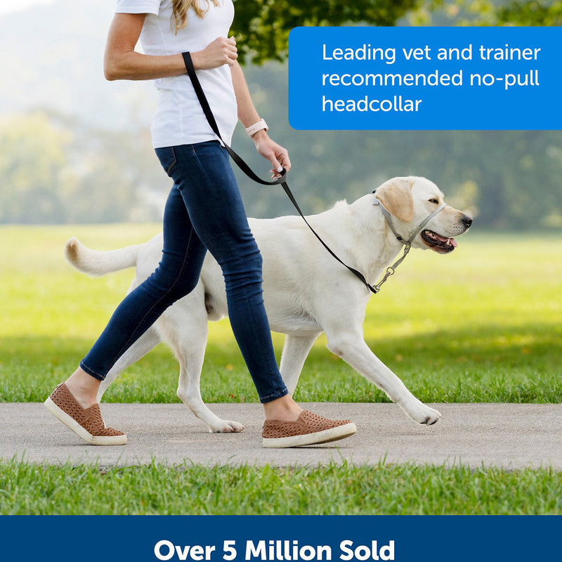 Headcollar Adjustable Dog Harness Pet Supplies - DailySale