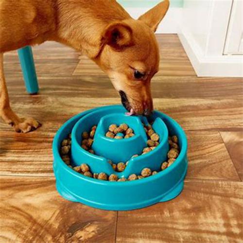 Healthy Slow Feeder Pet Bowl Pet Supplies - DailySale