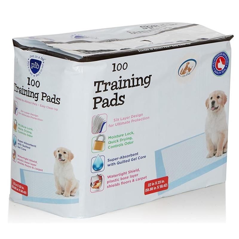 Heavy-Duty Training Pads for Pets Pet Supplies 100 Pack - DailySale