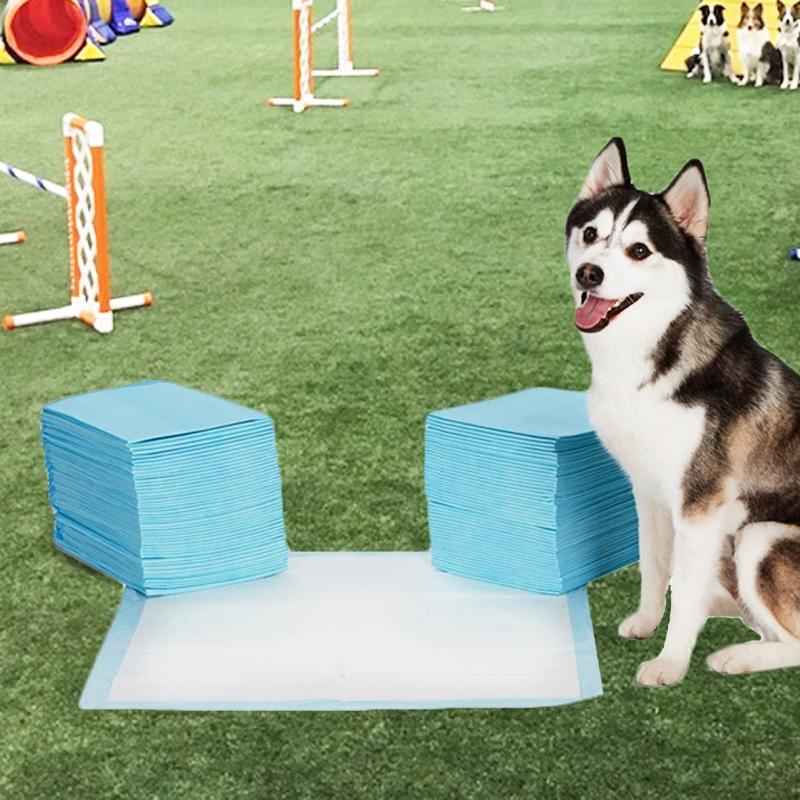 Heavy-Duty Training Pads for Pets Pet Supplies - DailySale