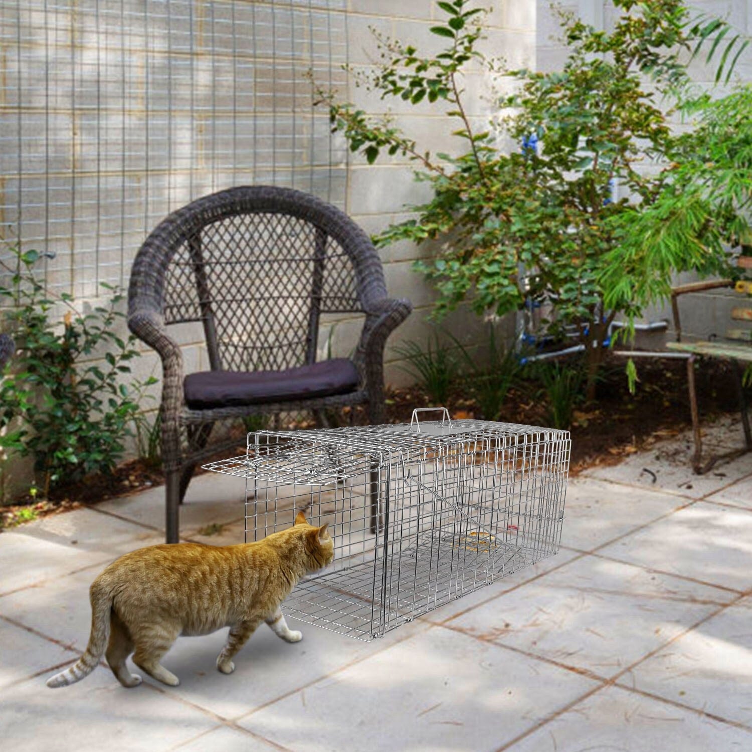 Humane Catch Release Live Animal Collapsible Galvanized Wire Trap Cage Pest Control - DailySale