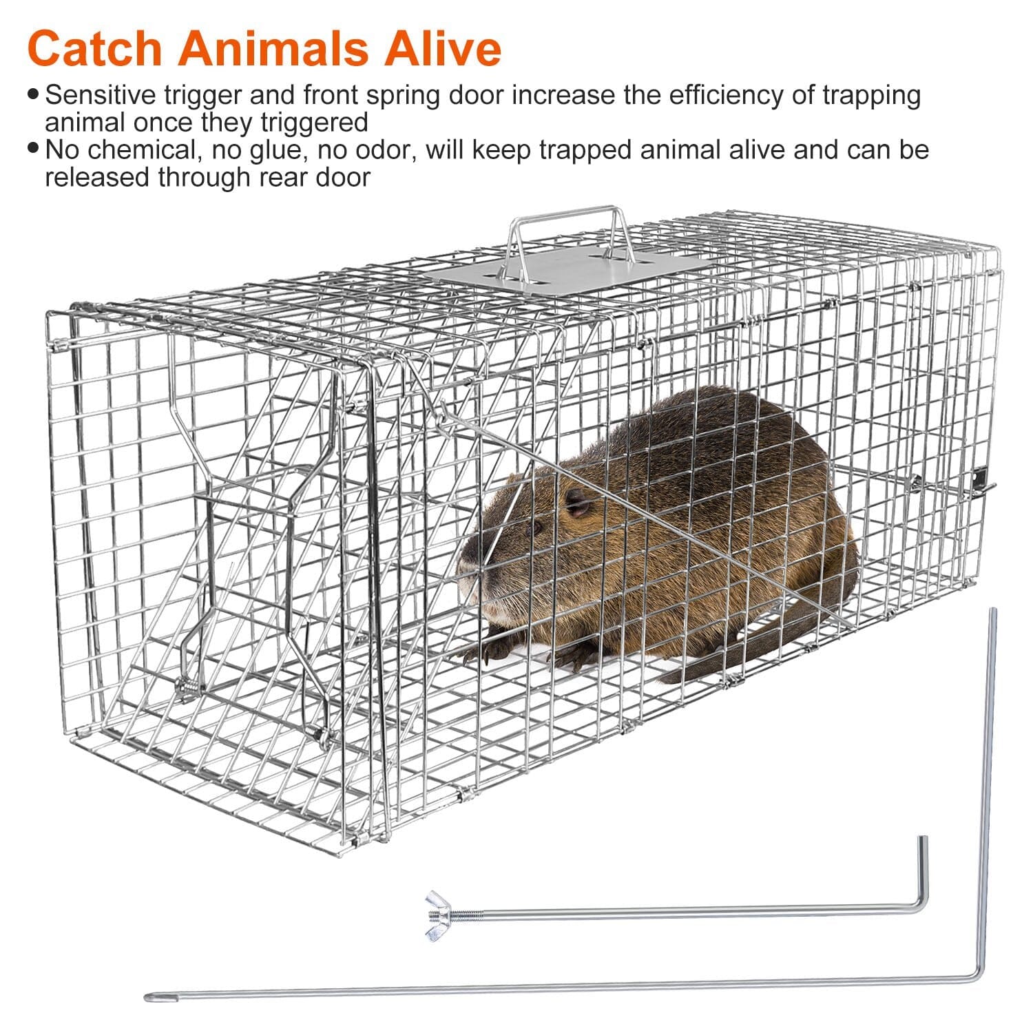 Humane Catch Release Live Animal Collapsible Galvanized Wire Trap Cage Pest Control - DailySale