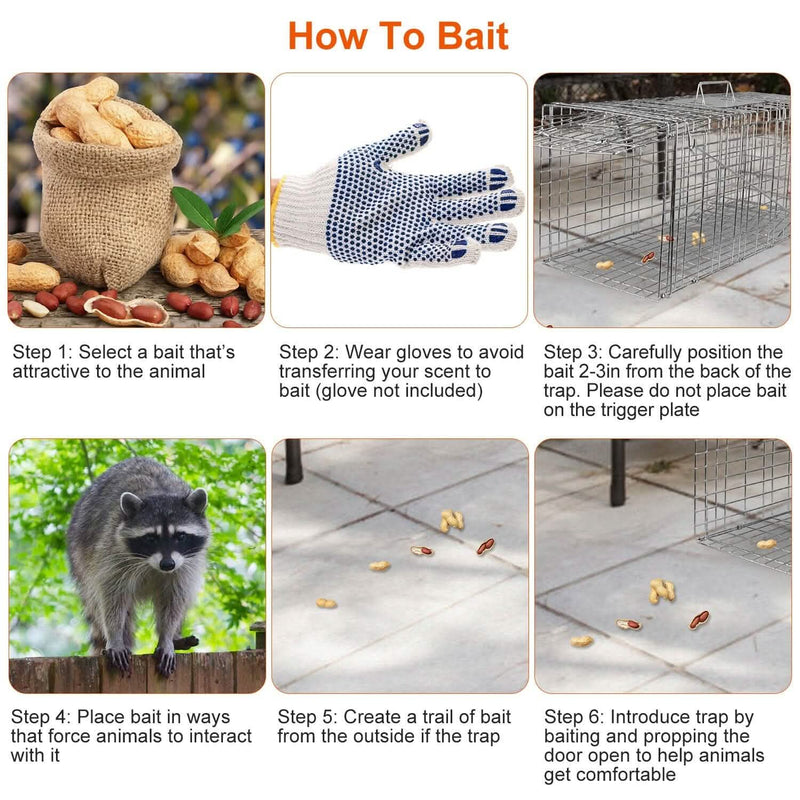 Humane Catch Release Live Animal Collapsible Galvanized Wire Trap Cage Pest Control - DailySale
