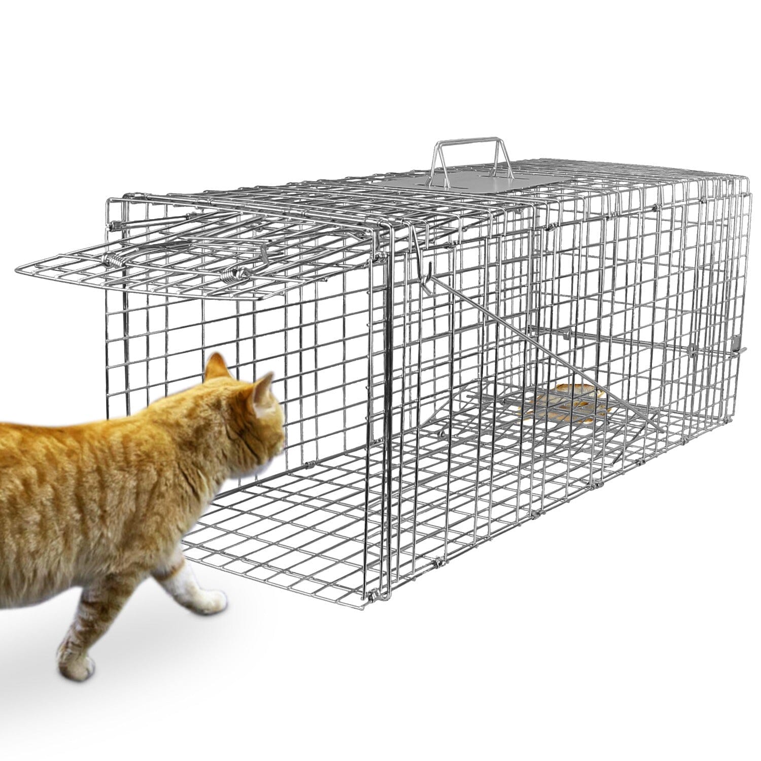 Humane Catch Release Live Animal Collapsible Galvanized Wire Trap Cage Pest Control - DailySale