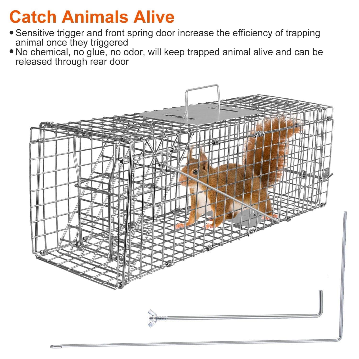 Humane Live Animal Rodent Cage Collapsible Galvanized Wire Pest Control - DailySale