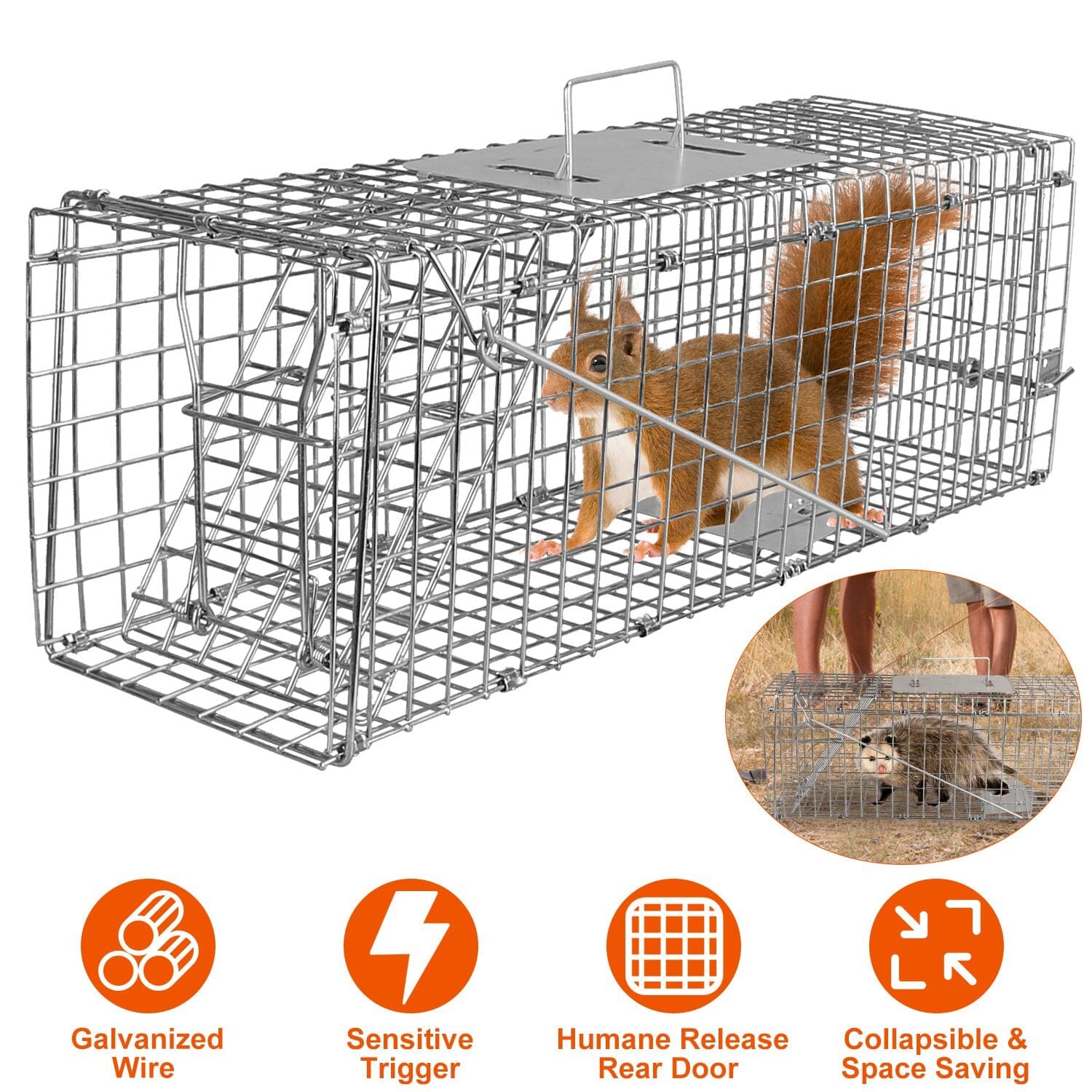 Humane Live Animal Rodent Cage Collapsible Galvanized Wire Pest Control - DailySale