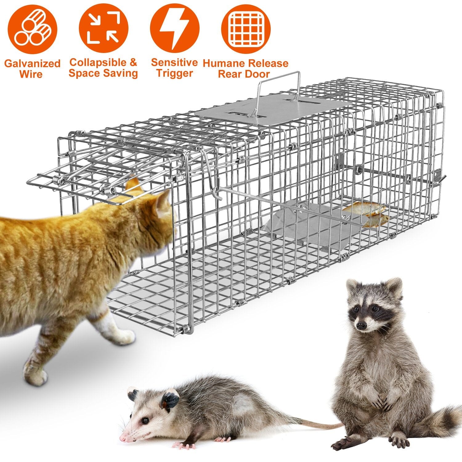 Humane Live Animal Rodent Cage Collapsible Galvanized Wire Pest Control - DailySale