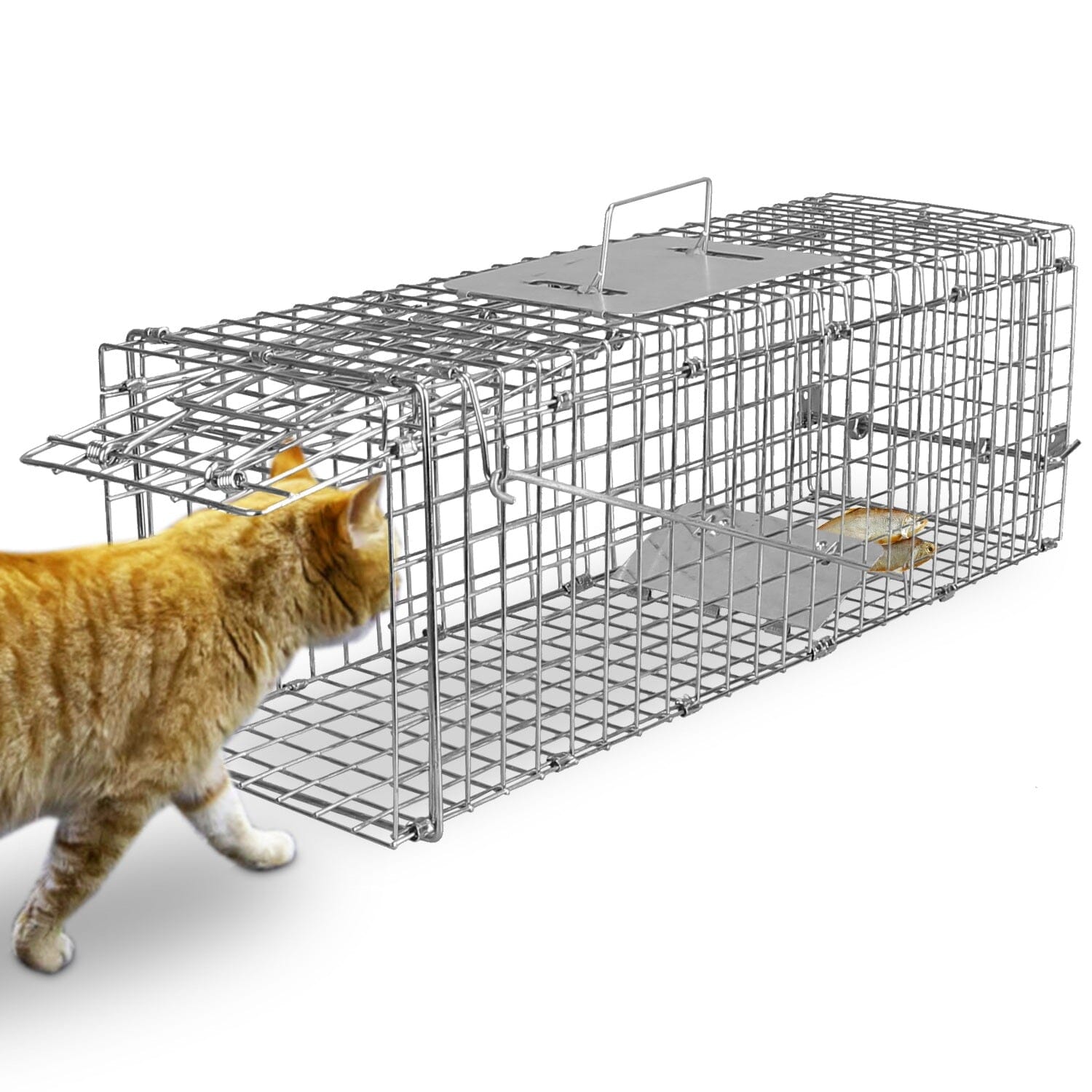 Humane Live Animal Rodent Cage Collapsible Galvanized Wire Pest Control - DailySale