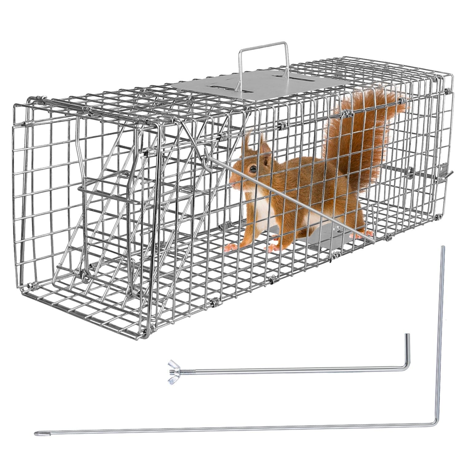 Humane Live Animal Rodent Cage Collapsible Galvanized Wire Pest Control - DailySale