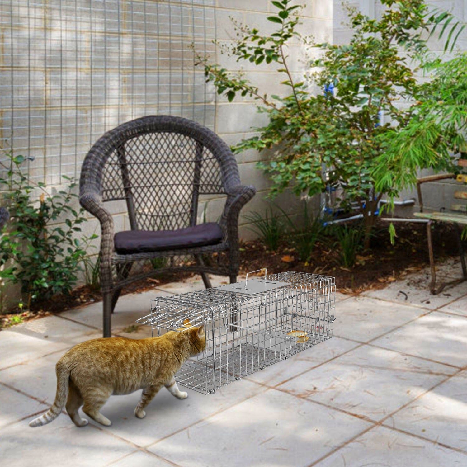 Humane Live Animal Rodent Cage Collapsible Galvanized Wire Pest Control - DailySale