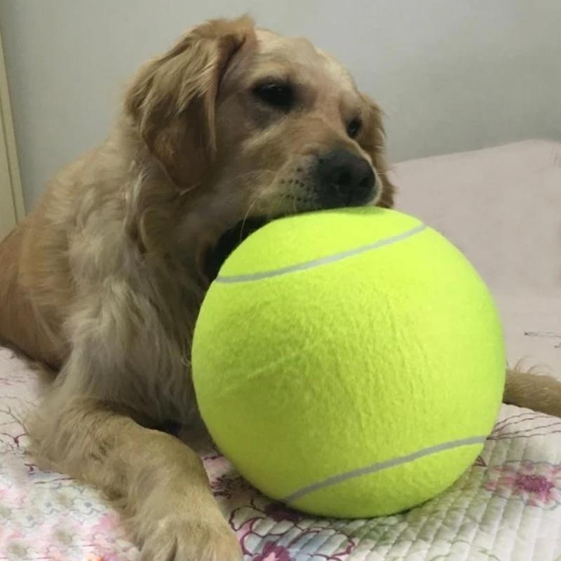 Jumbo Tennis Ball for Autographs, Dogs and Kids Toys & Games - DailySale