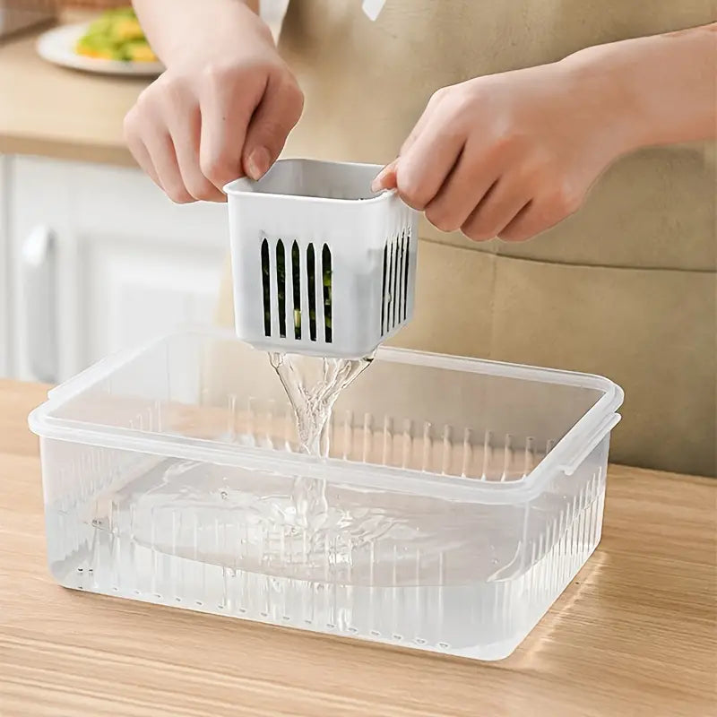 Kitchen Scallion Storage Box Kitchen Storage - DailySale