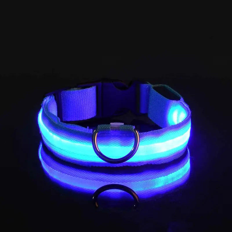 LED Dog Collars Light Adjustable Flashing Luminous Collar Night Anti-Lost Pet Supplies Blue XS - DailySale
