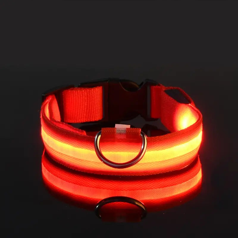 LED Dog Collars Light Adjustable Flashing Luminous Collar Night Anti-Lost Pet Supplies Red XS - DailySale