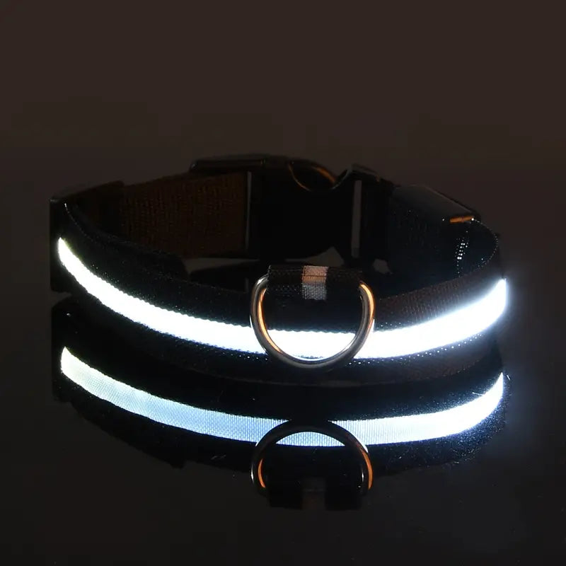 LED Dog Collars Light Adjustable Flashing Luminous Collar Night Anti-Lost Pet Supplies White XS - DailySale