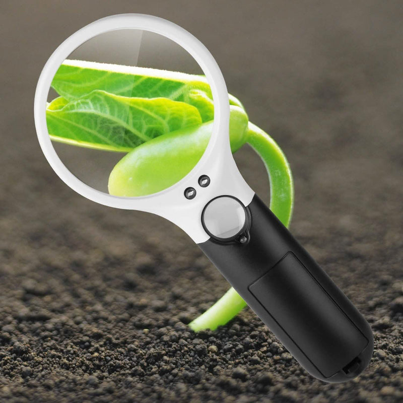 LED Illuminated Magnifying Glass Everything Else - DailySale