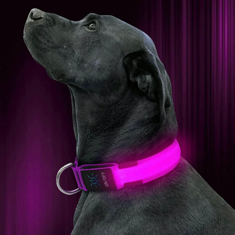 #color_pink