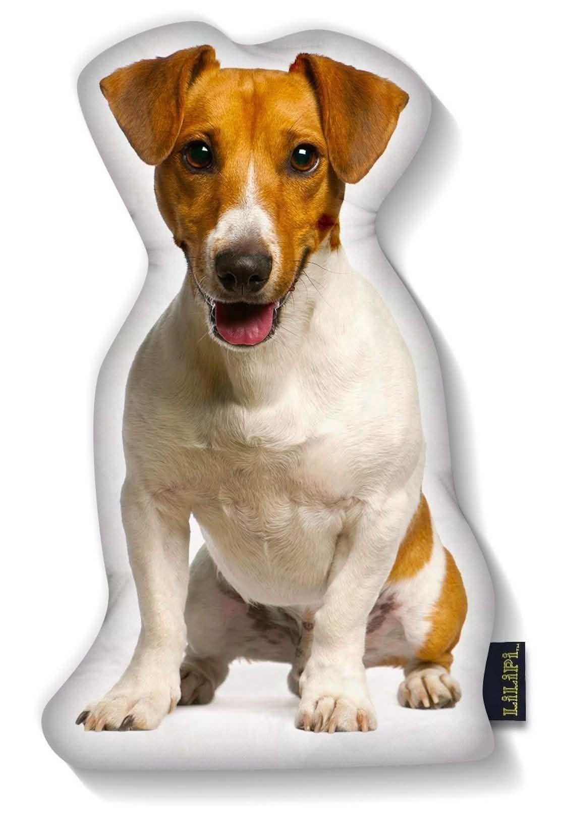 LiLiPi Dog-Shaped Accent Pillow - Assorted Styles Linen & Bedding - DailySale