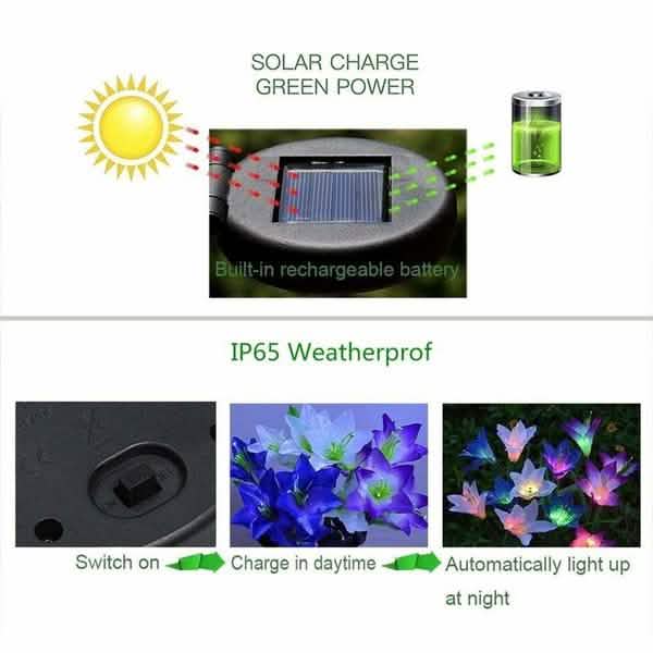 Lily Flower Multi-Color Changing LED Solar Powered Lights Outdoor Lighting - DailySale