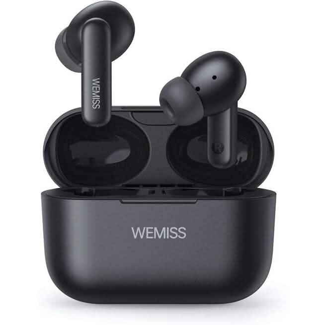 Black LY-E1 True Wireless Earbuds with charging case, at Dailysale