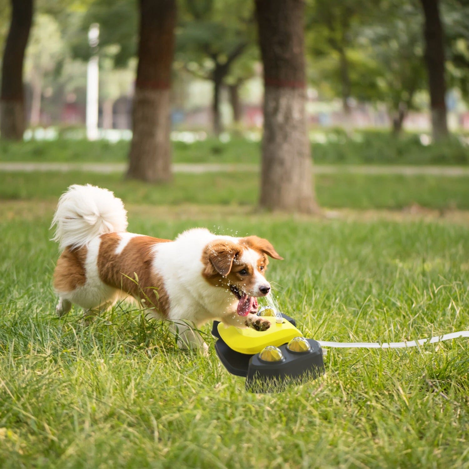 Multifunctional Automatic Pet Water Dispenser Outdoor Step-on Activated Sprinkler Pet Supplies - DailySale