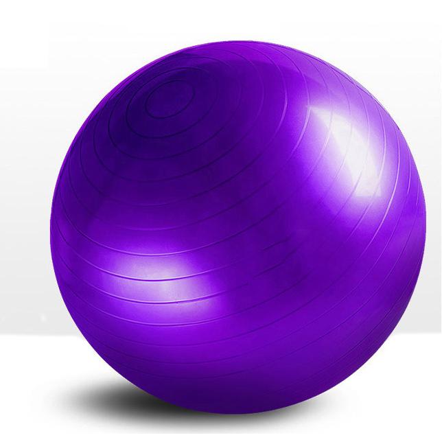 Non-Slip Yoga Stability Ball Fitness 55cm Purple - DailySale