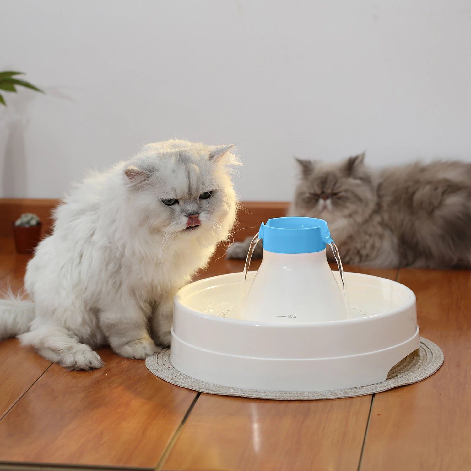 Ownpets® Pets Drinking Fountain Active Oxygen Cycle Two Drinking Area 3L Pet Supplies - DailySale