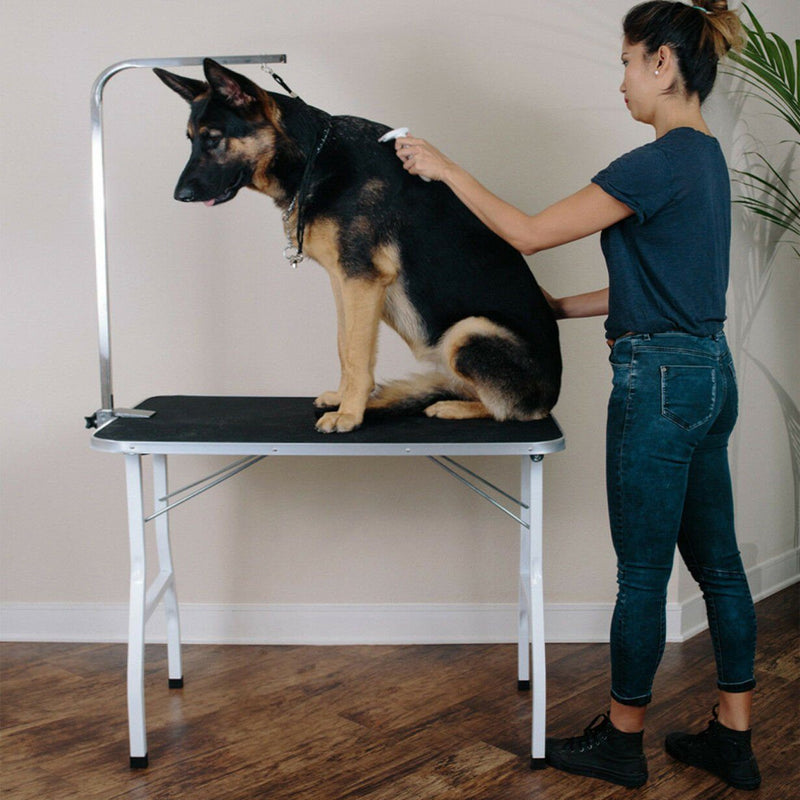 Oxgord 36" Pet Grooming Foldable Table Pet Supplies - DailySale
