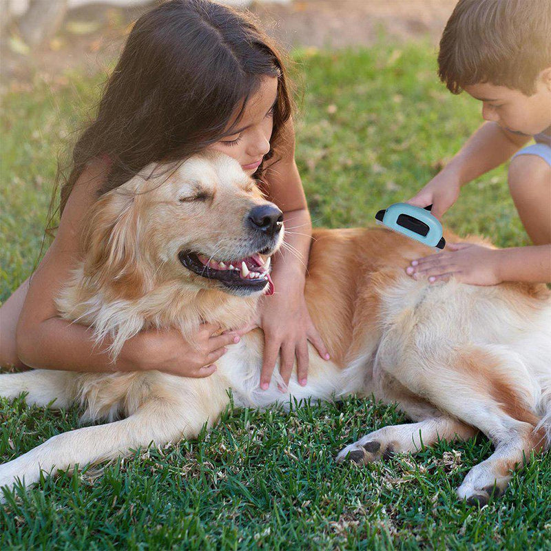 OxGord Blue Combo Pet Grooming Brush Pet Supplies - DailySale