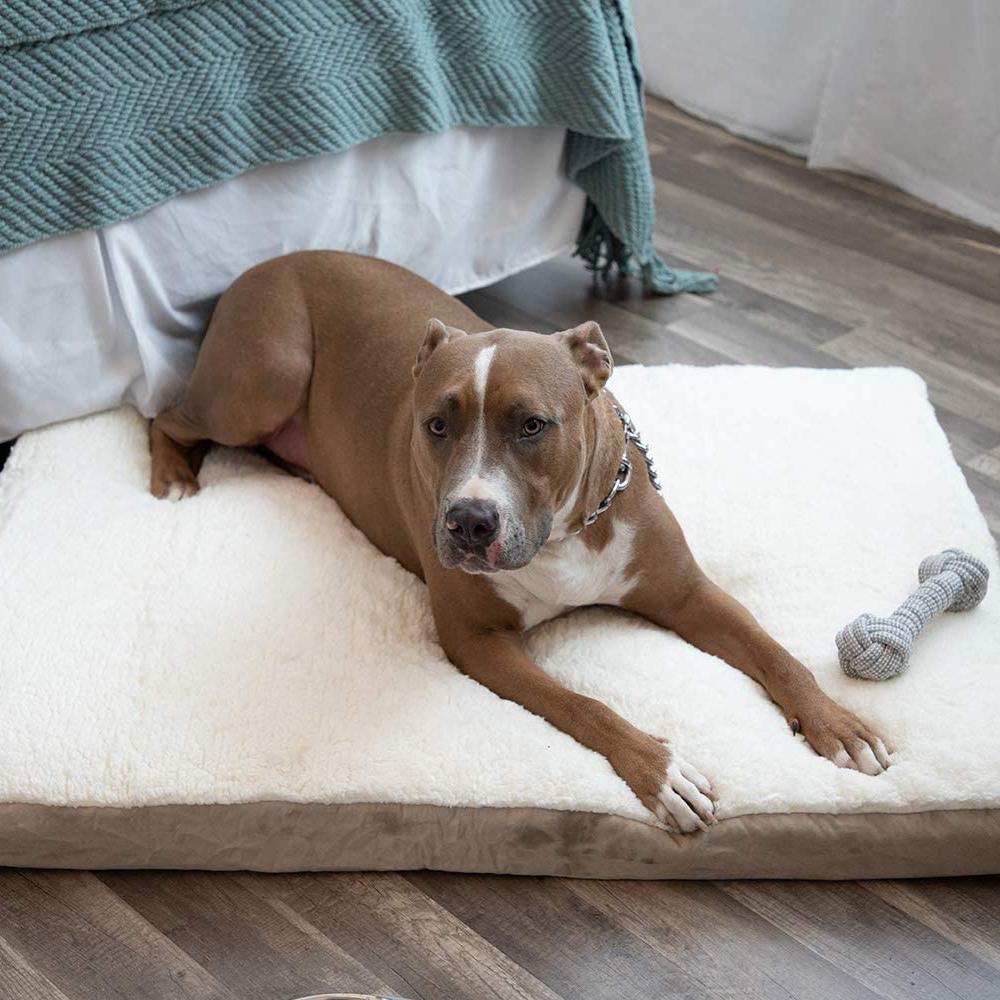 Paws and pals dog cheap bed