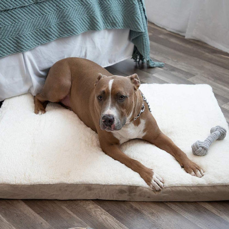 Paws & Pals Orthopedic Pet Bed Foam-Mattress for Dogs and Cats Pet Supplies - DailySale
