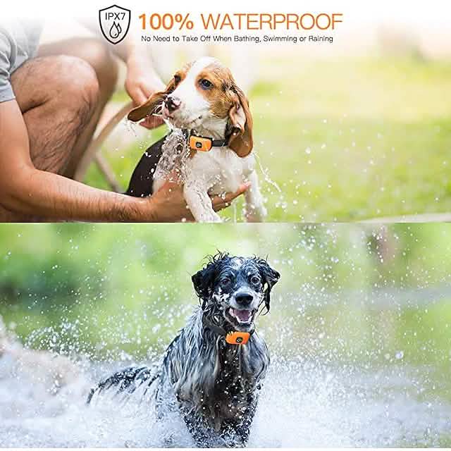 Pet Dog Shock Collar with Remote Pet Supplies - DailySale