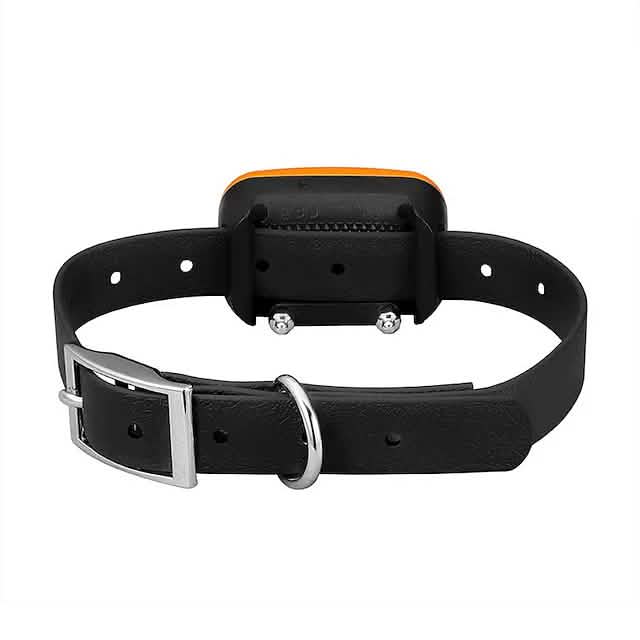 Pet Dog Shock Collar with Remote Pet Supplies - DailySale
