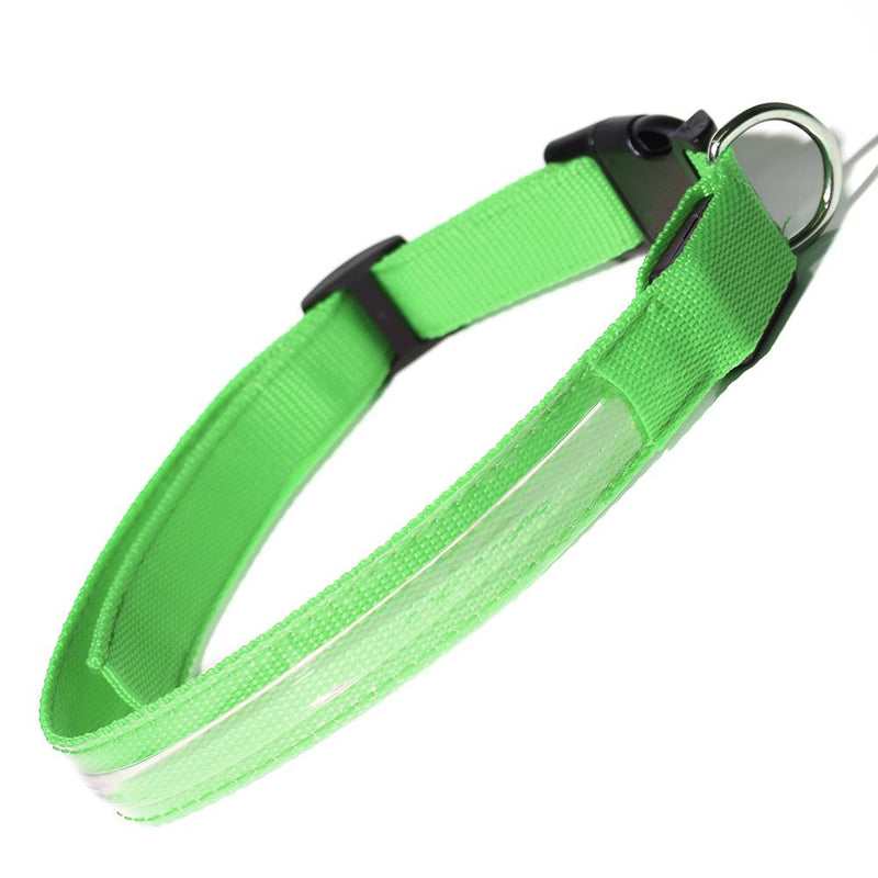 Pet LED Collar Pet Supplies M Green - DailySale