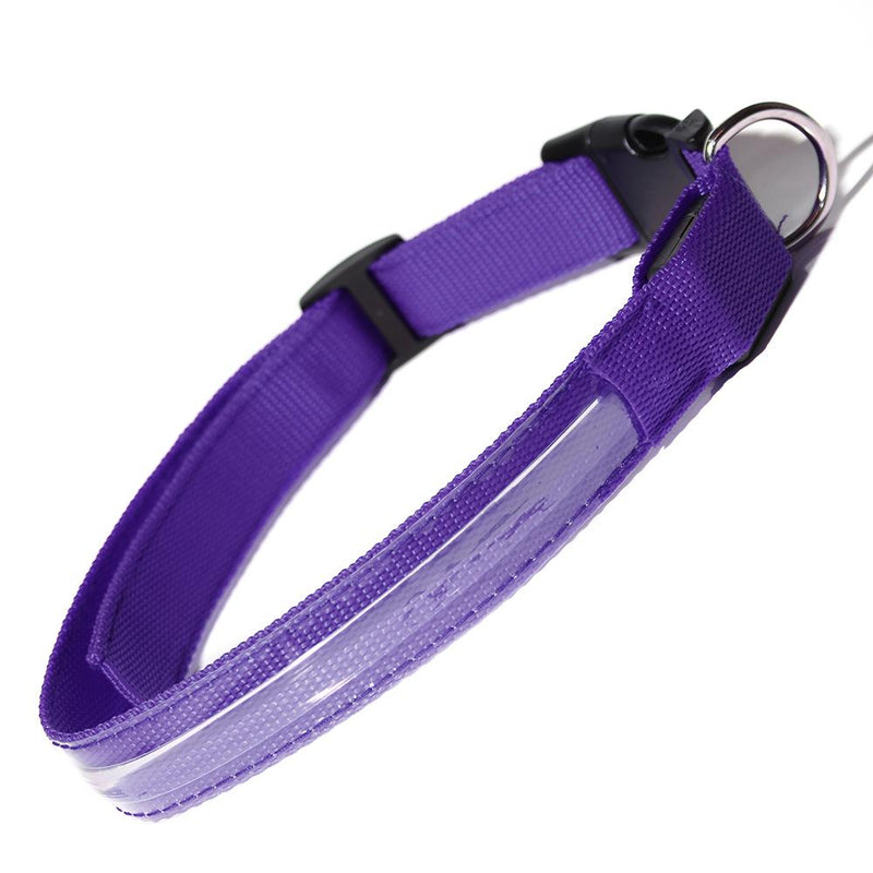 Pet LED Collar Pet Supplies M Purple - DailySale