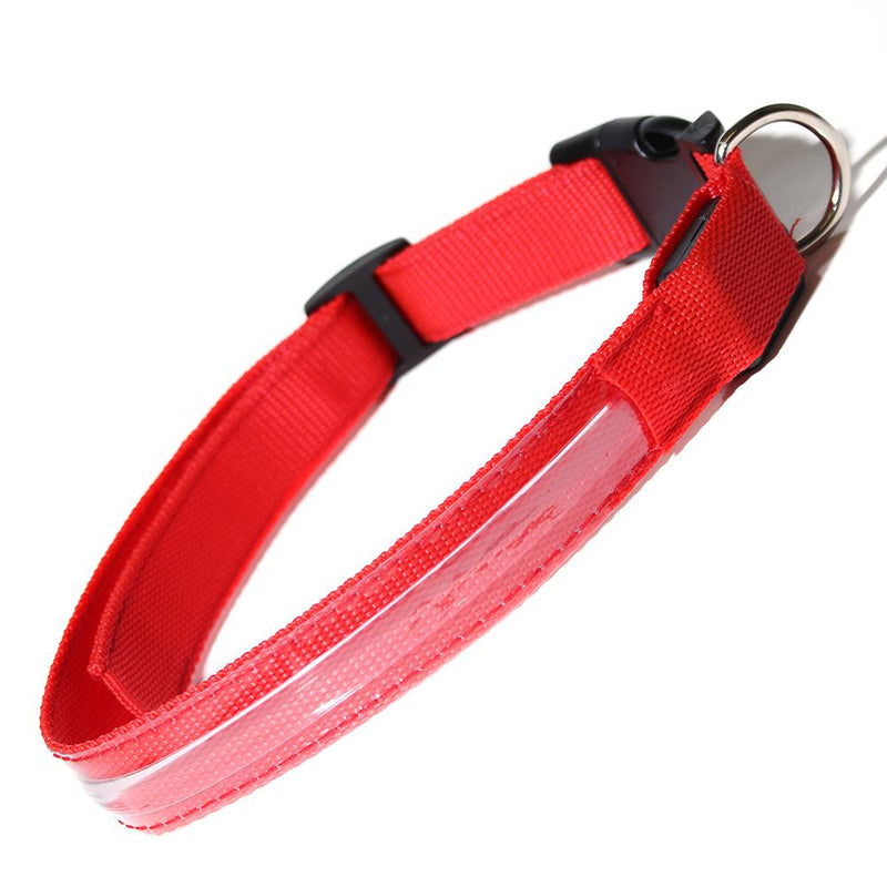 Pet LED Collar Pet Supplies M Red - DailySale