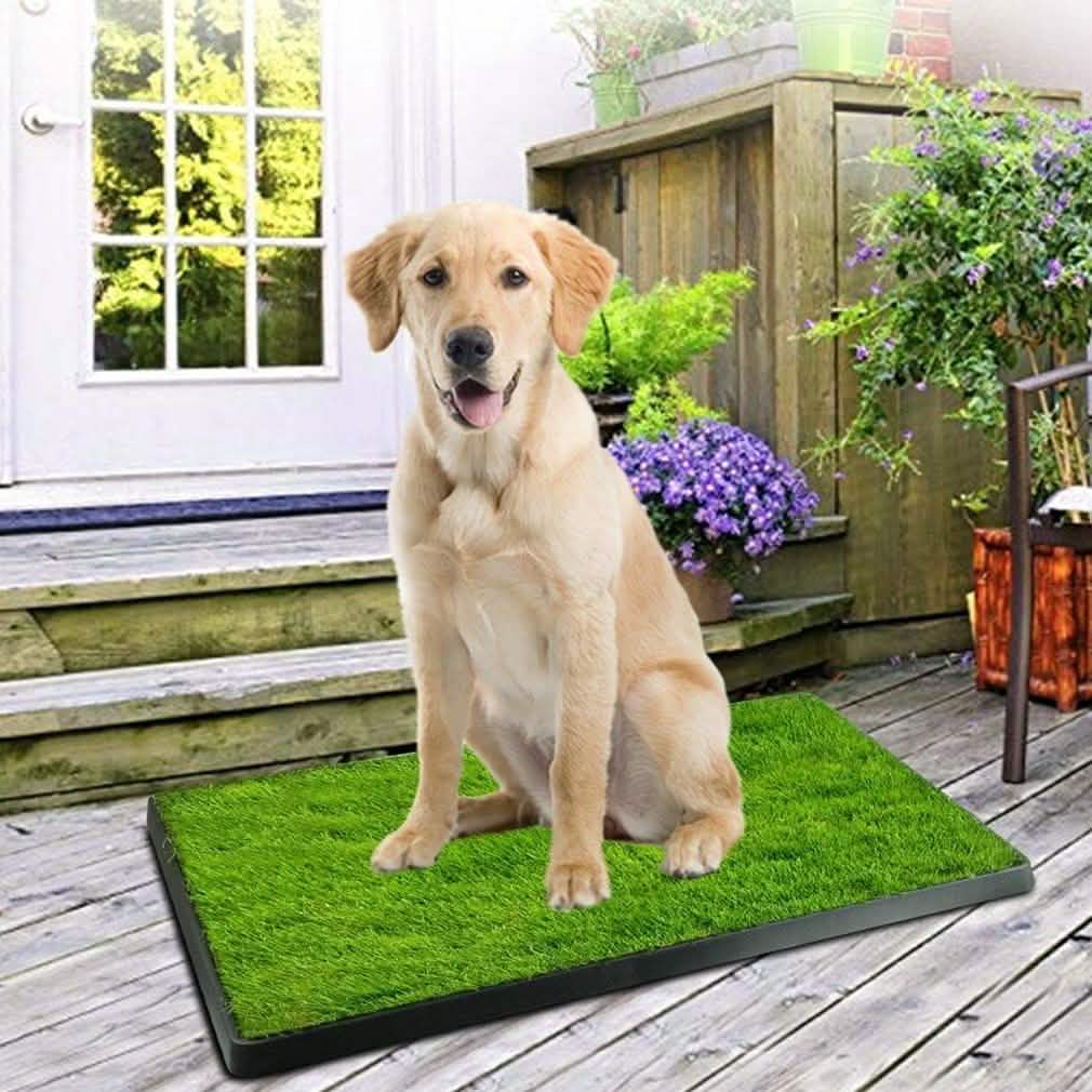 Pet Loo Portable Indoor/Outdoor Pet Potty Pet Supplies - DailySale