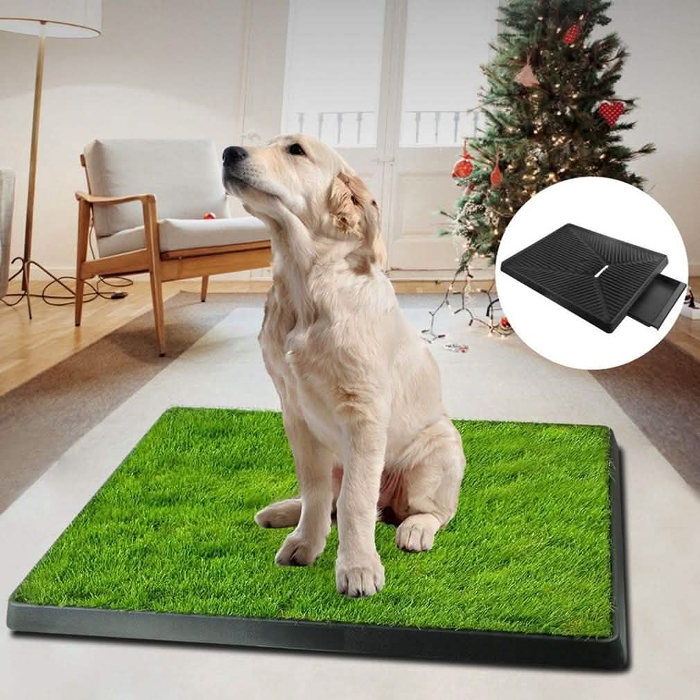 Pet Loo Portable Indoor/Outdoor Pet Potty Pet Supplies - DailySale