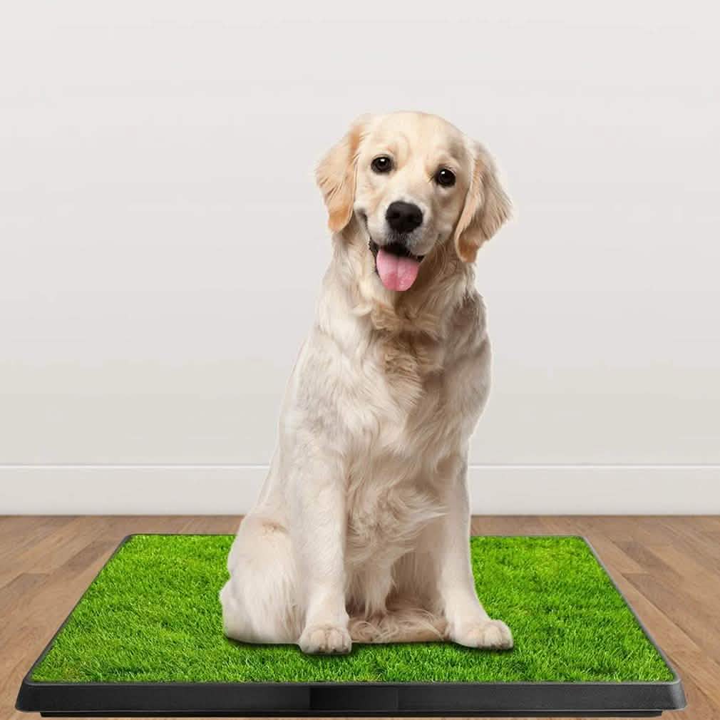 Pet Loo Portable Indoor/Outdoor Pet Potty Pet Supplies - DailySale