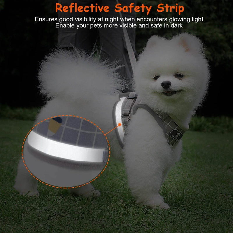 Pet Mesh Harness Dog Leash Puppy Vest Pet Supplies - DailySale