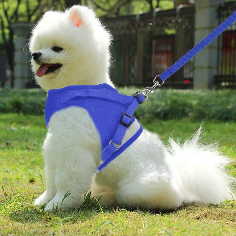 Pet Mesh Harness Dog Leash Puppy Vest Pet Supplies - DailySale