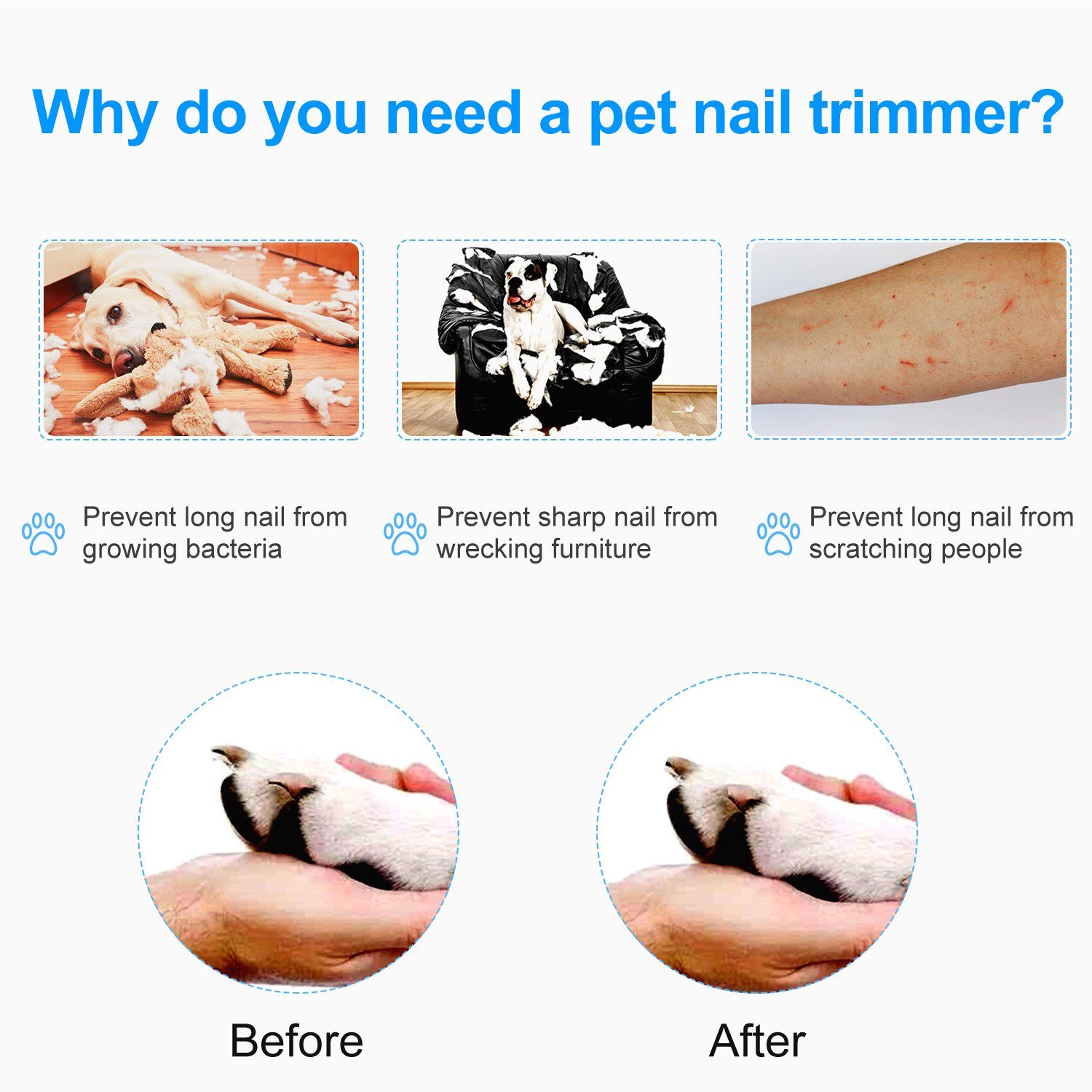 Pet Nail Toe Stainless Steel Trimmer with Nail File Pet Supplies - DailySale