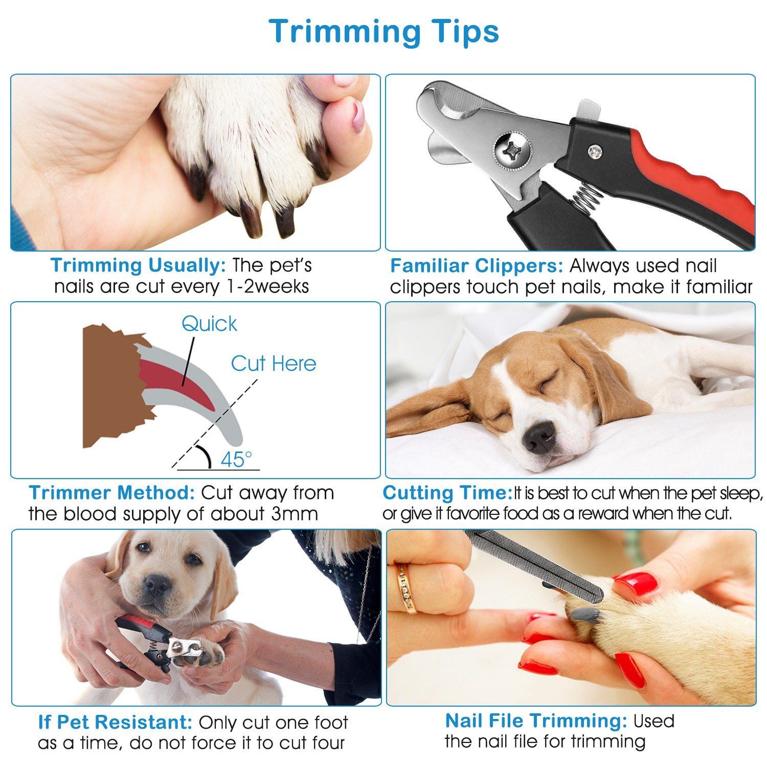 Pet Nail Trimmer with Safety Guard to Avoid Over-Cutting Nails Pet Supplies - DailySale