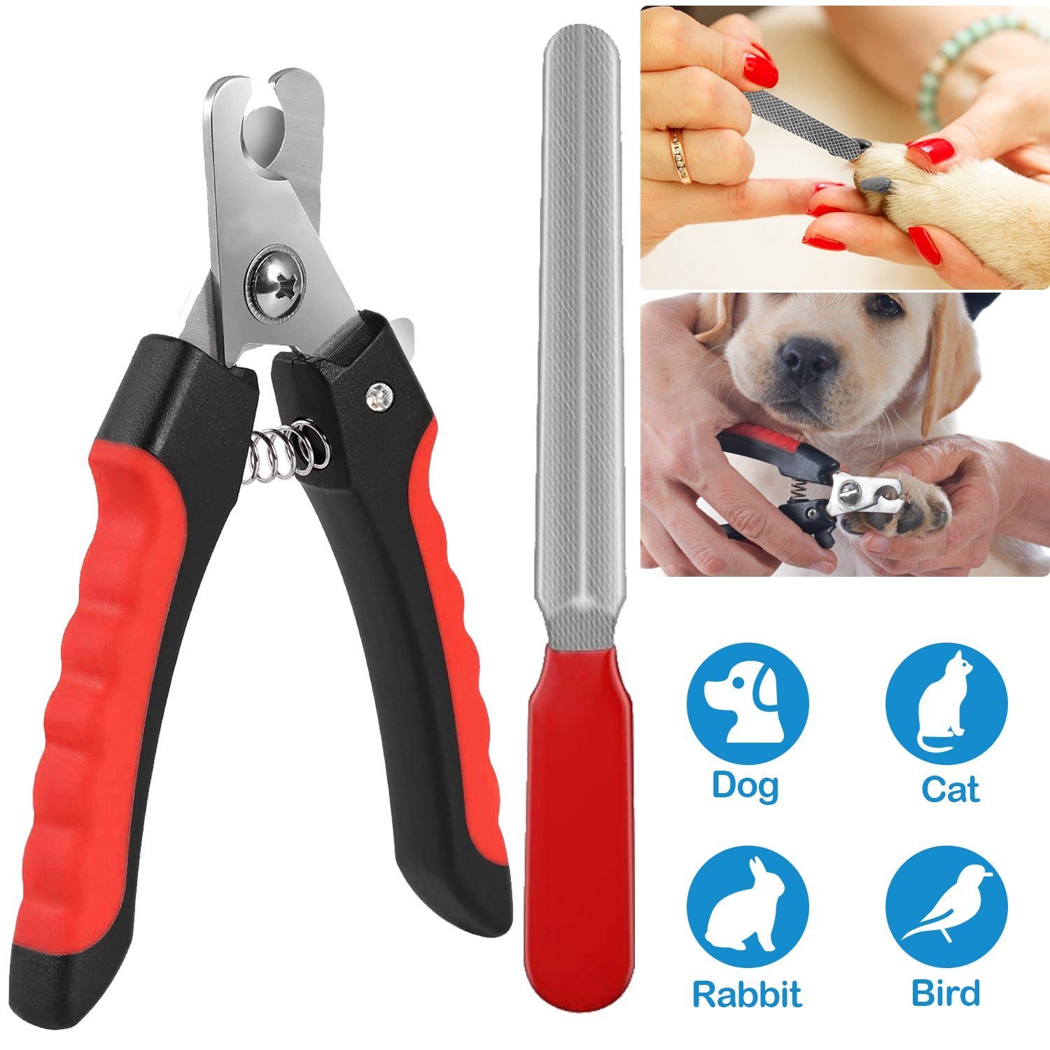 Pet Nail Trimmer with Safety Guard to Avoid Over-Cutting Nails Pet Supplies - DailySale