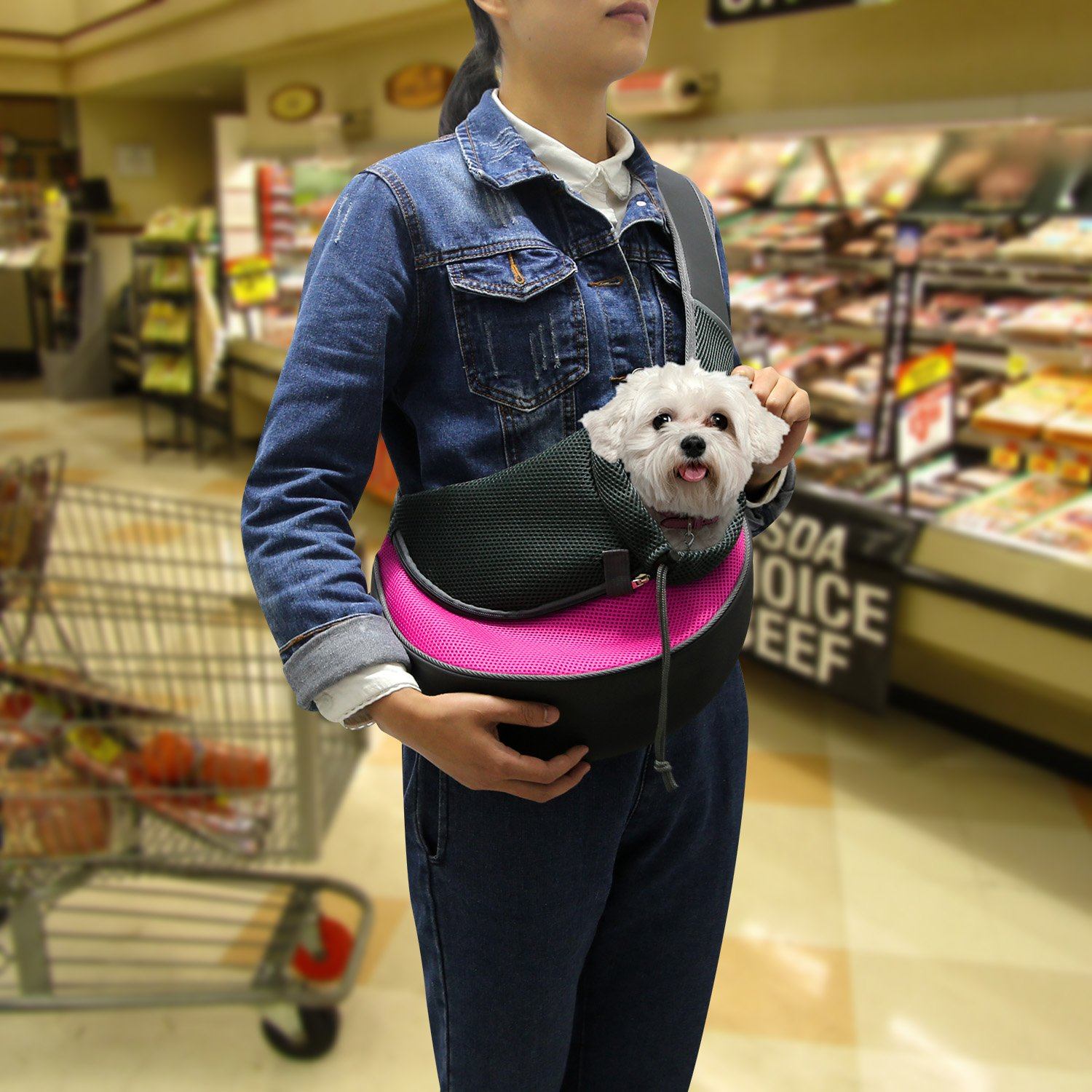 Pet Puppy Carrier Pet Supplies - DailySale